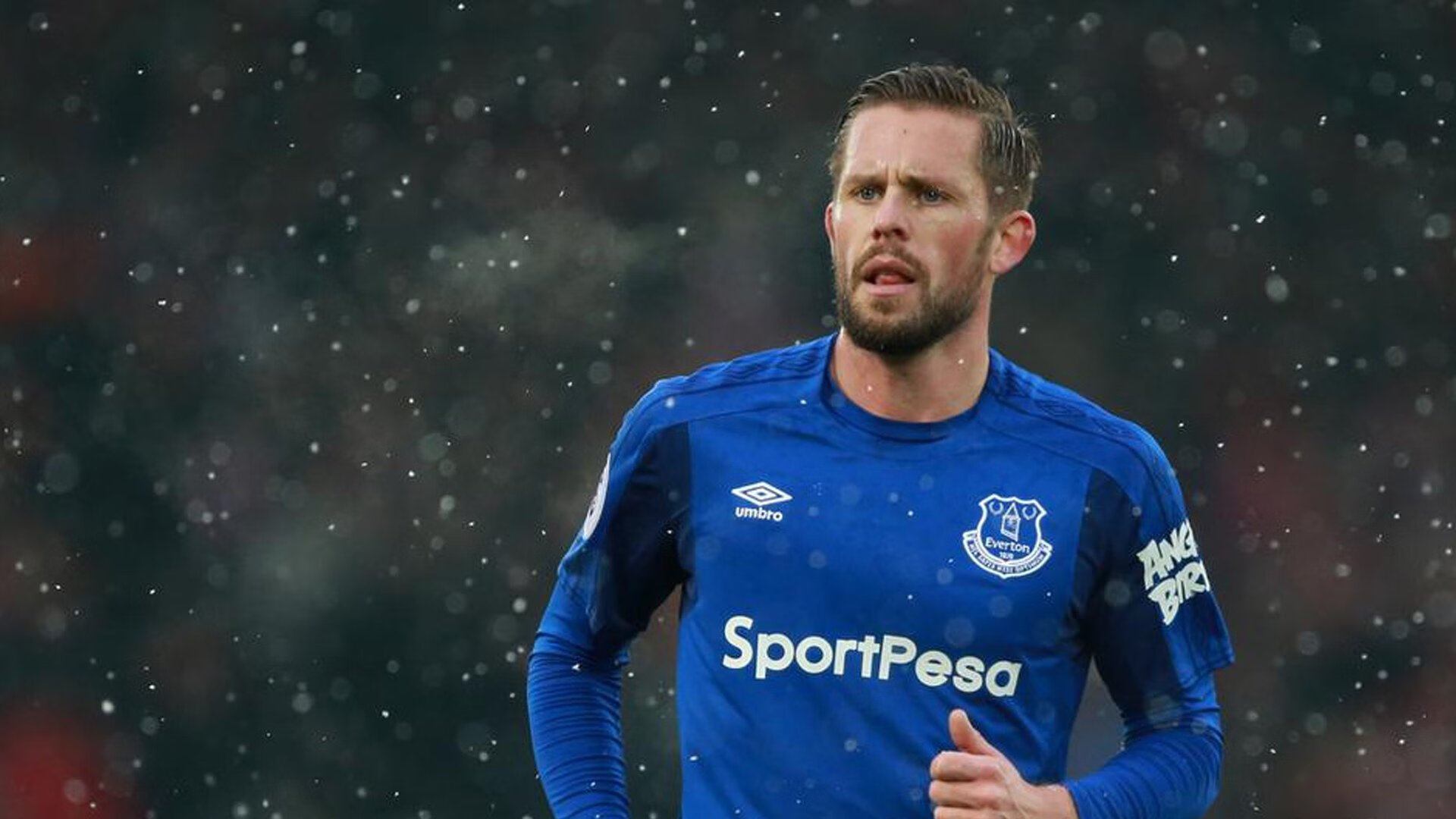 “未来之星：联盟最具潜力的新秀全面解析”，未来之星怎么解释